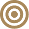 Brown target icon