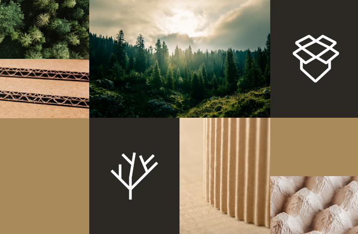 Great northern's 2024 sustainability report